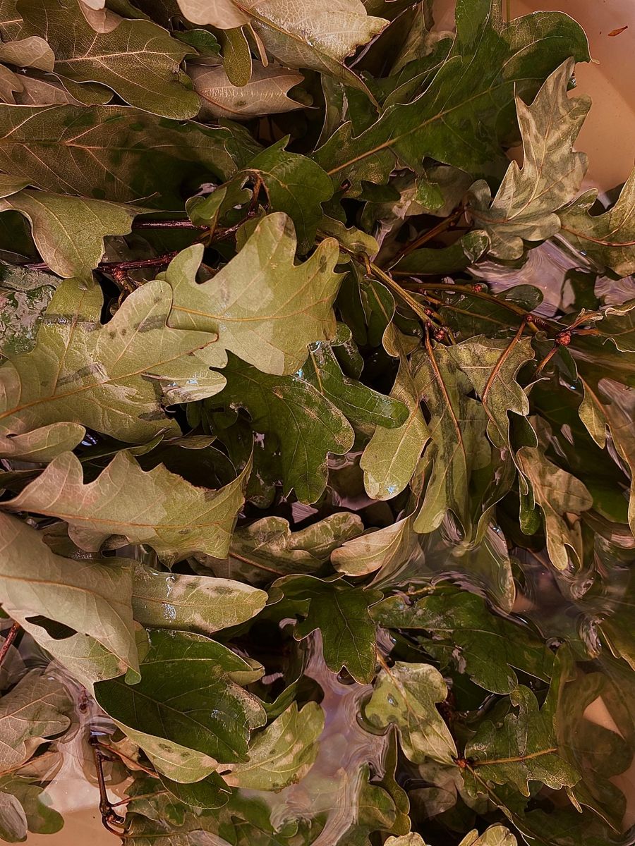 Рассрочка 0%